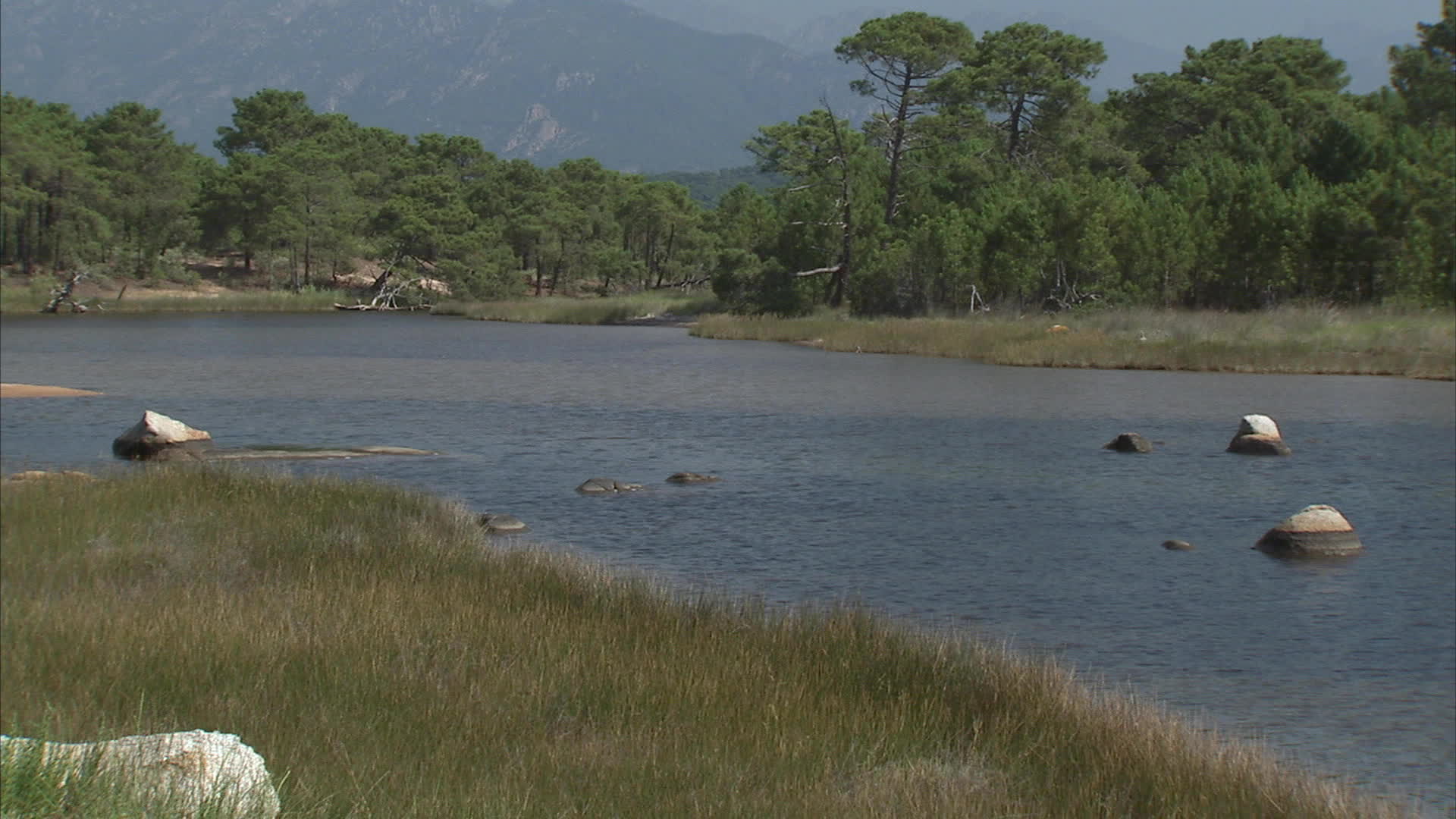 Corsica - Stagnolu pond