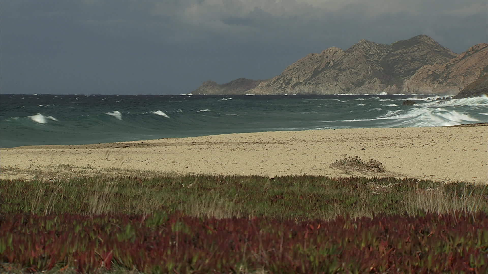 Corse - plage Losari