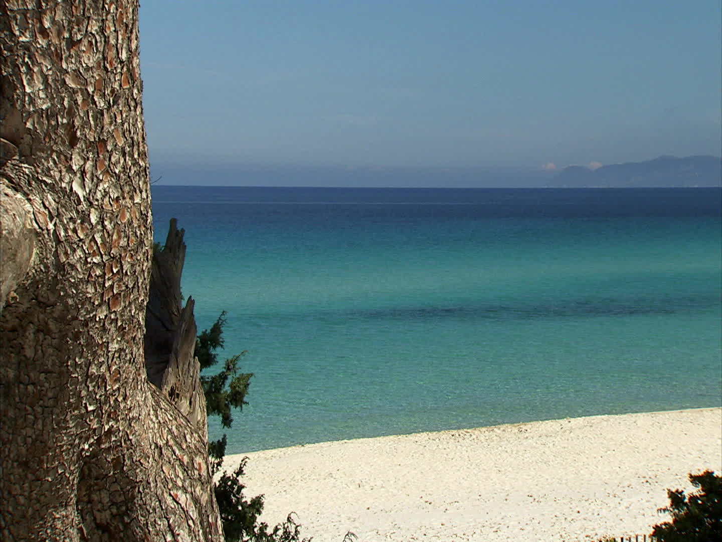 Corsica - Saleccia beach