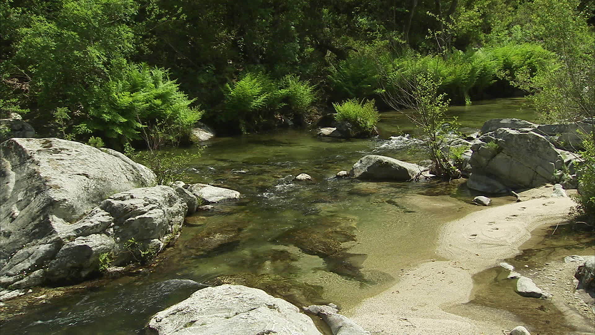 Corsica - U Poghju river