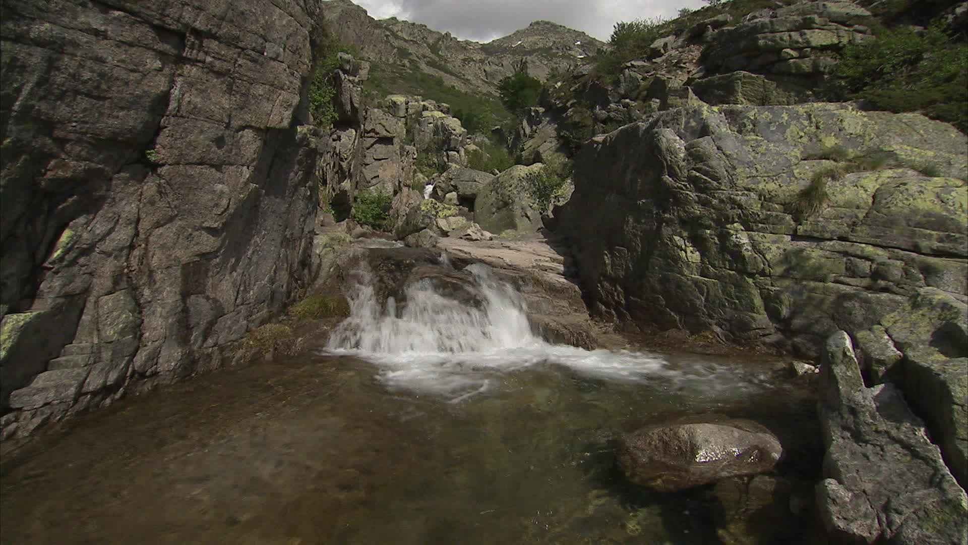 Corsica - Zoïcu Manganu