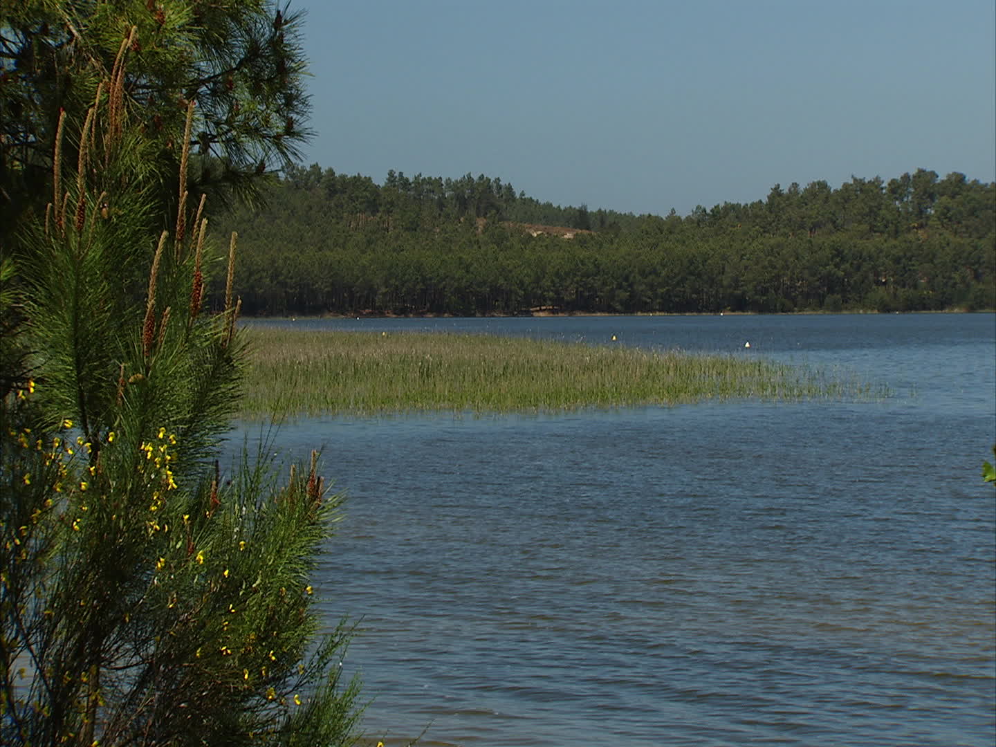Gironde - cap Bombanes