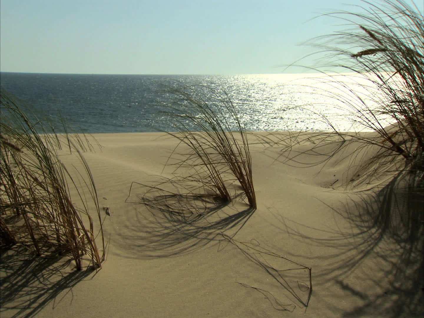 Gironde - Cape Ferret