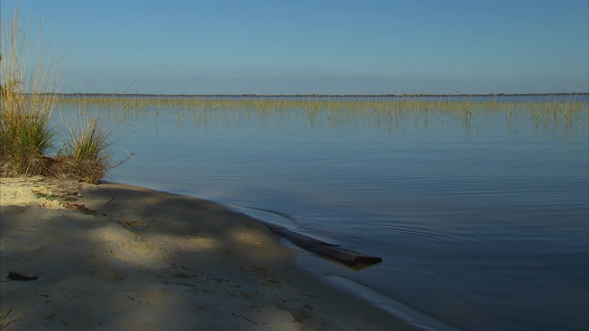 Gironde - The Gracière