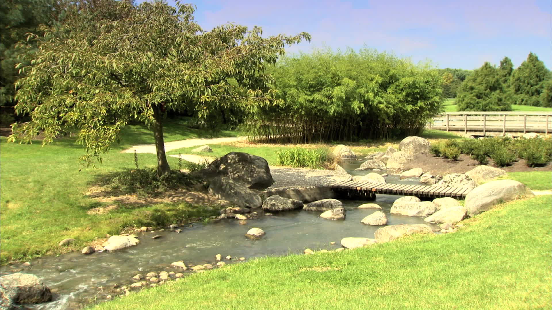 Gironde - Gujan mestras