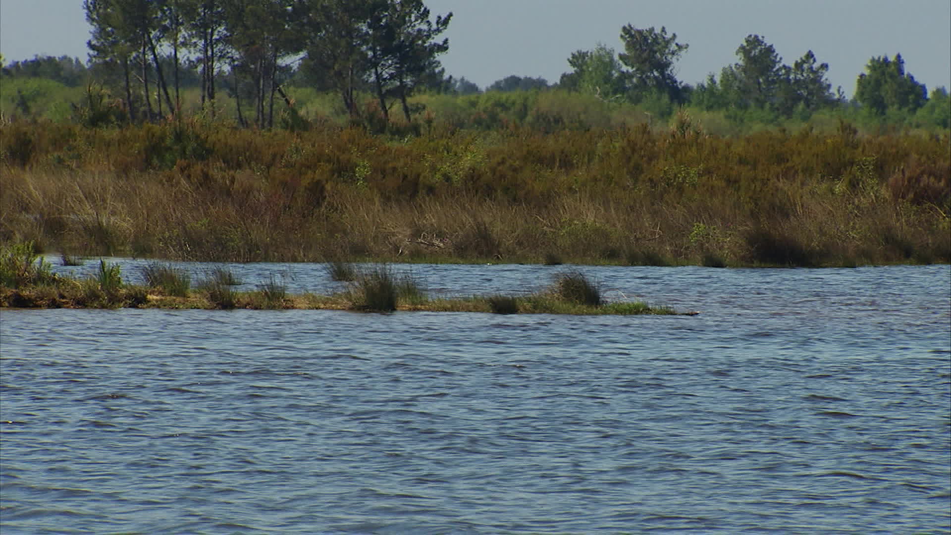 Gironde - Carcans lake