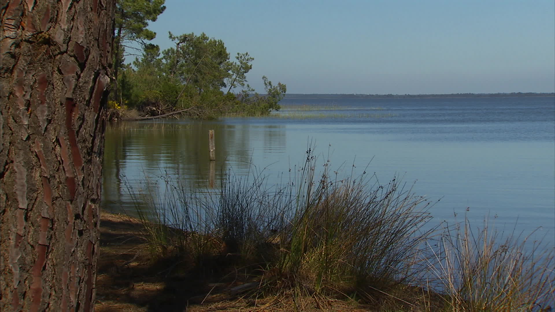 Gironde - Malignac