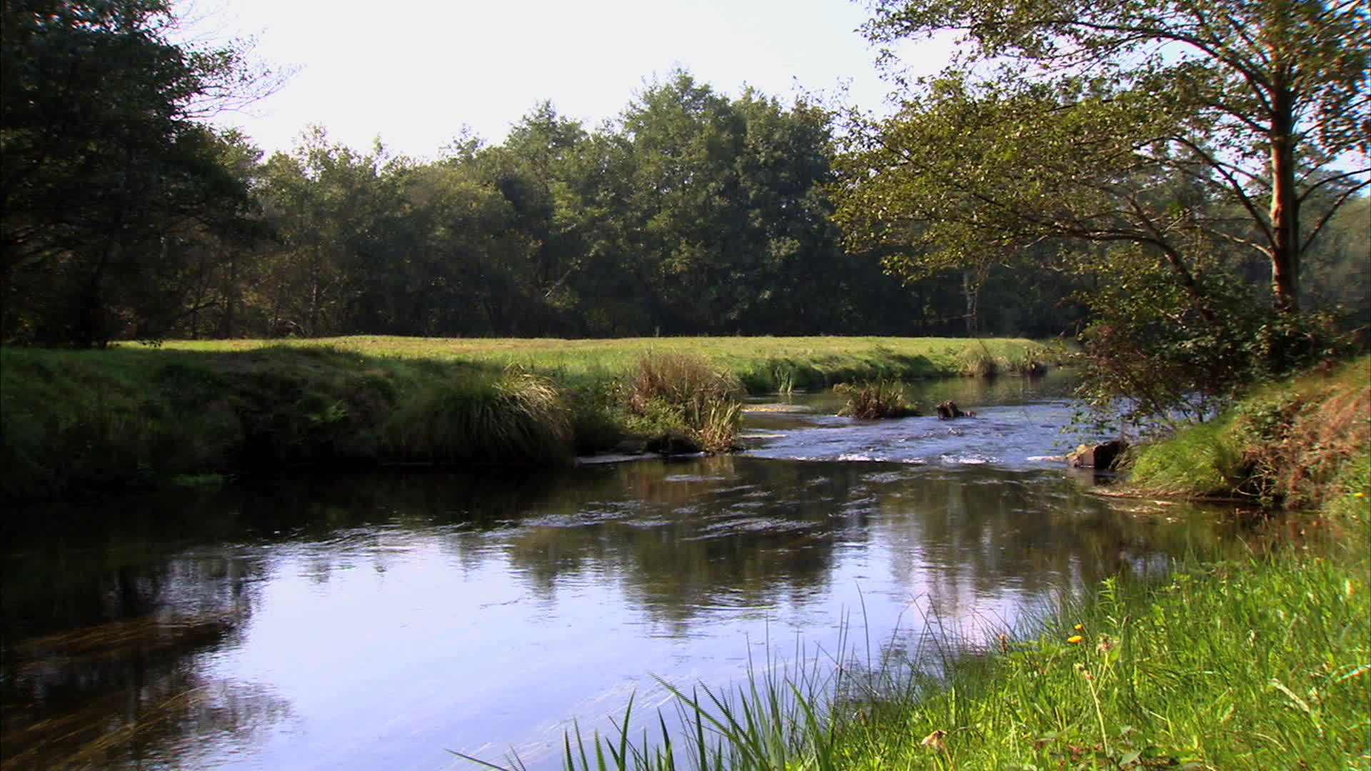 Gironde - Moutchic