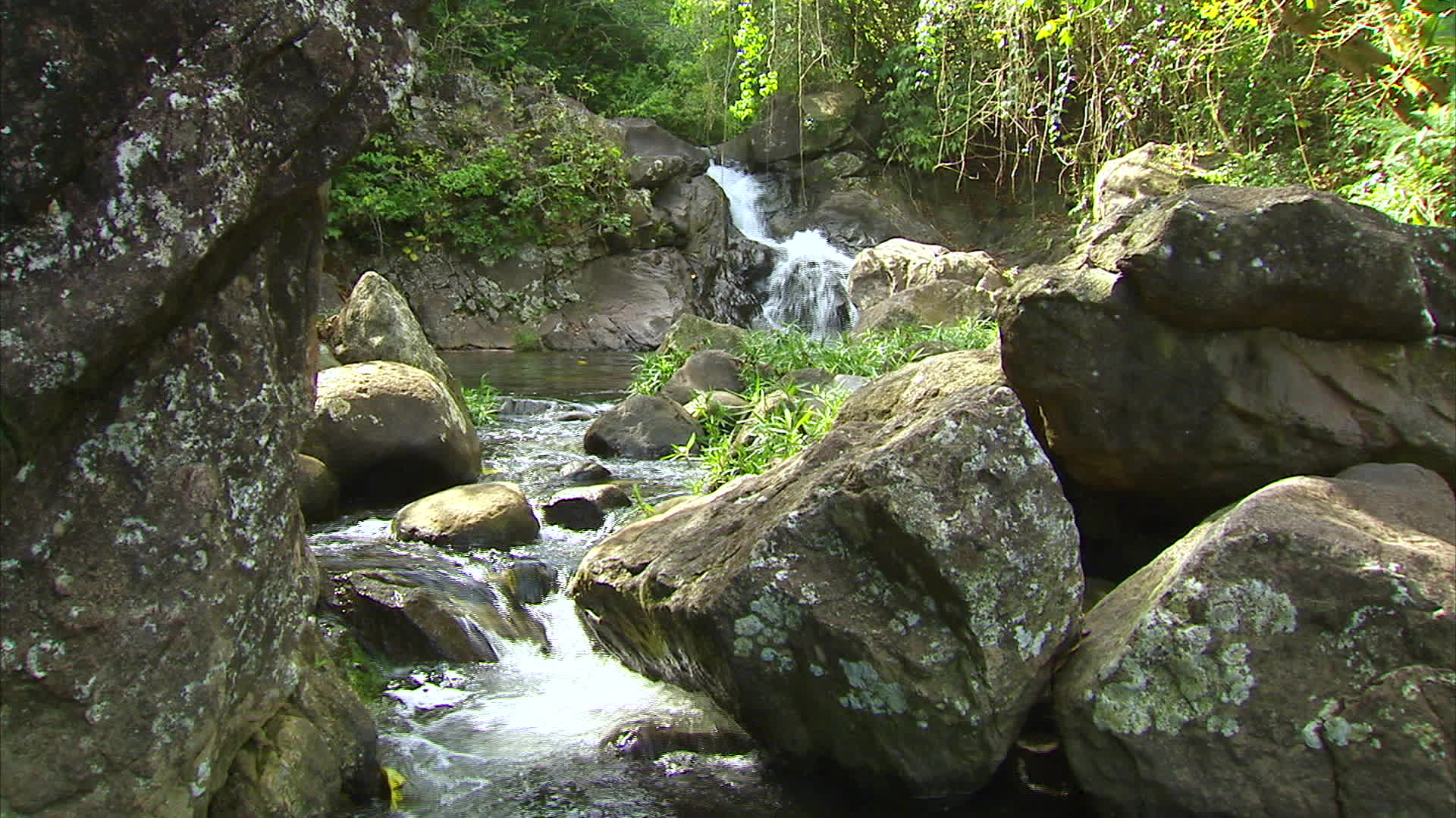 Guadeloupe - Coulisse waterfall