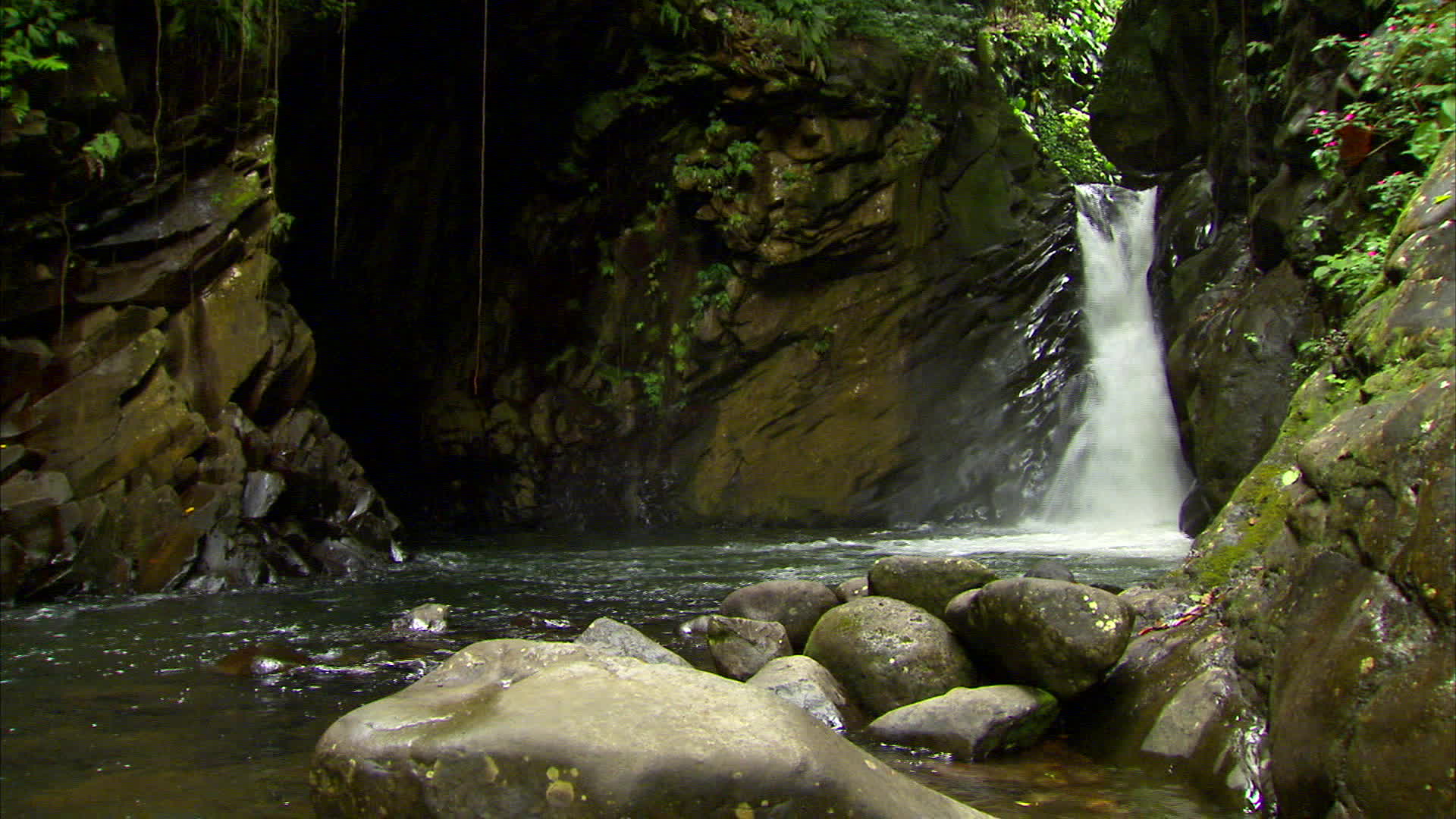 Guadeloupe - Matouba jump