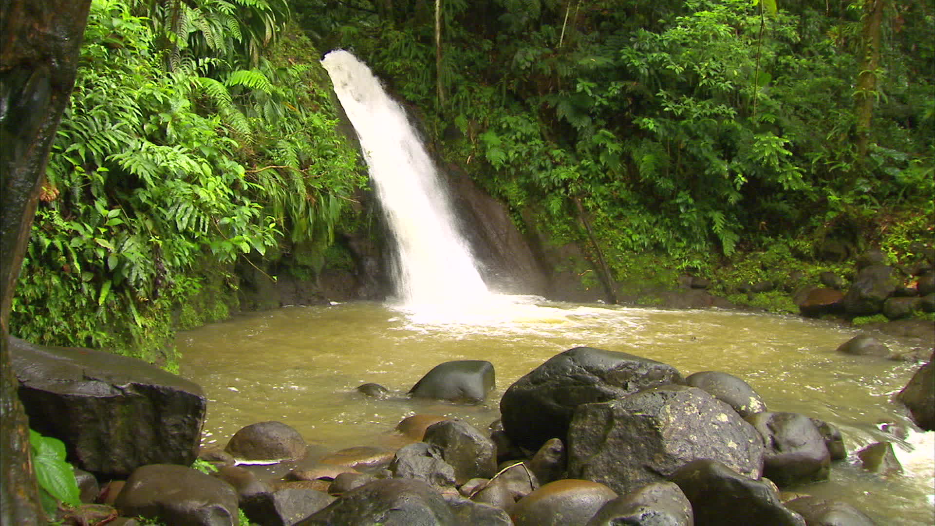 Guadeloupe - Shrimp waterfall