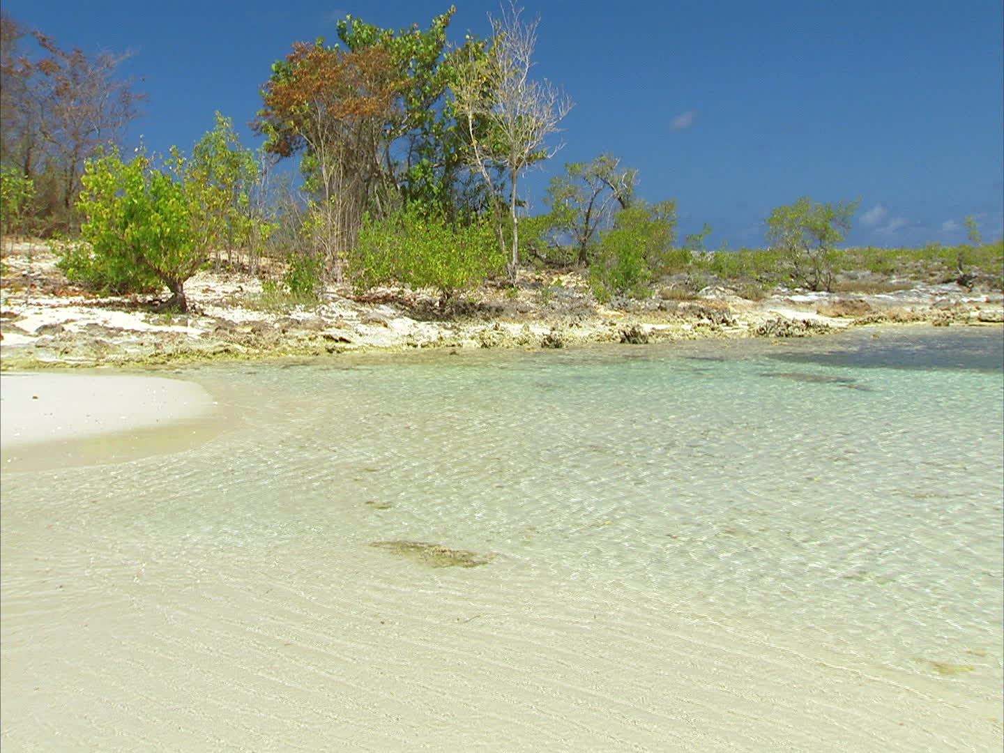 Guadeloupe - crique Colas