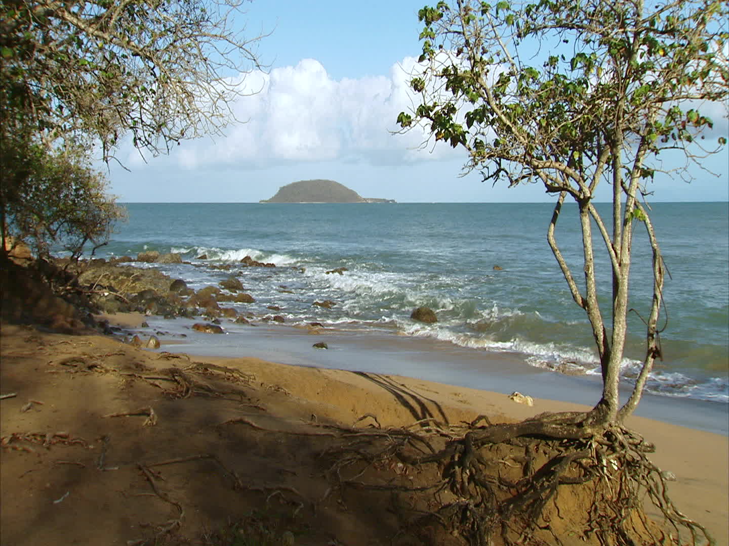 Guadeloupe - île de la Crique