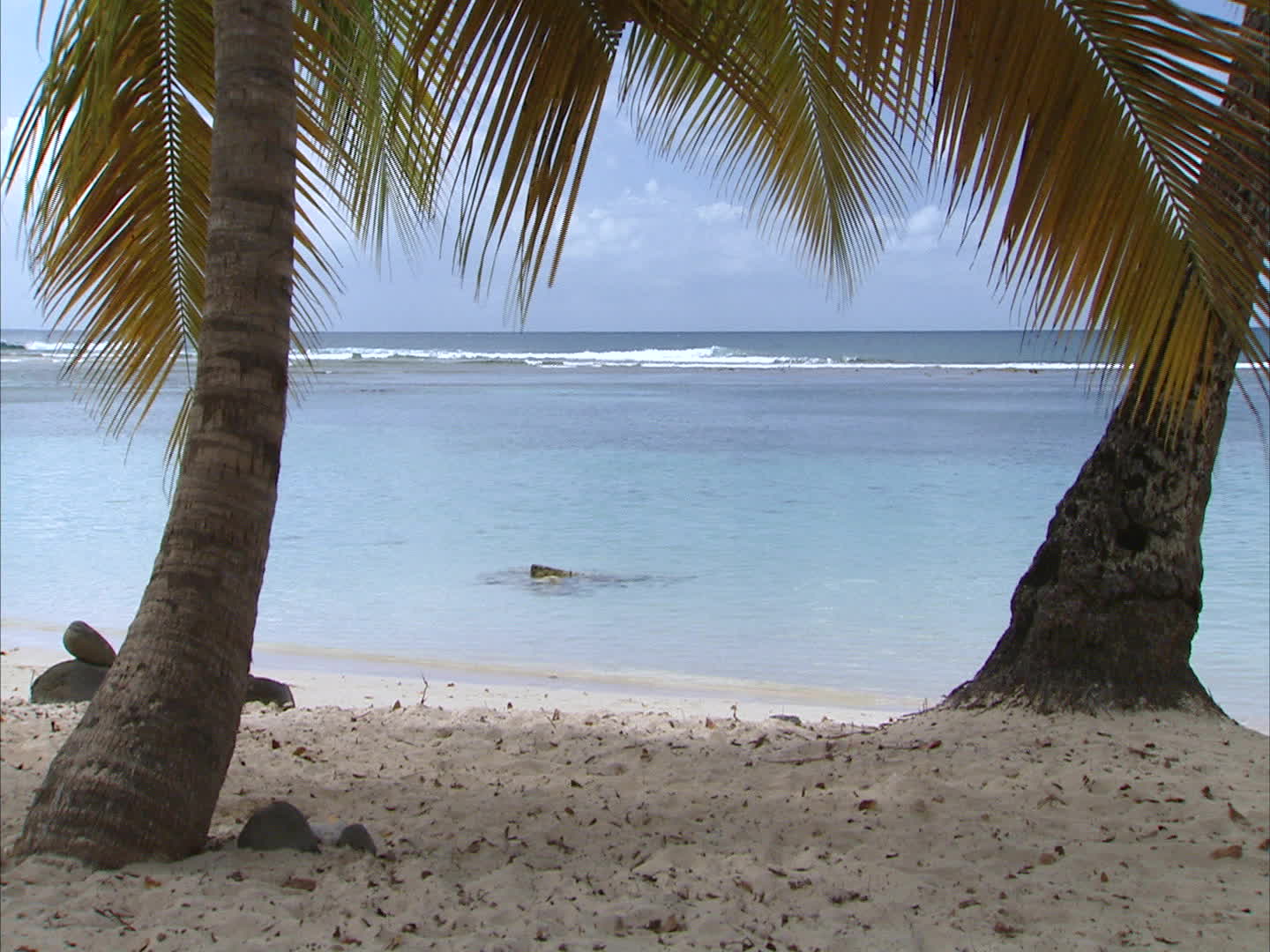 Guadeloupe - Caravelle beach