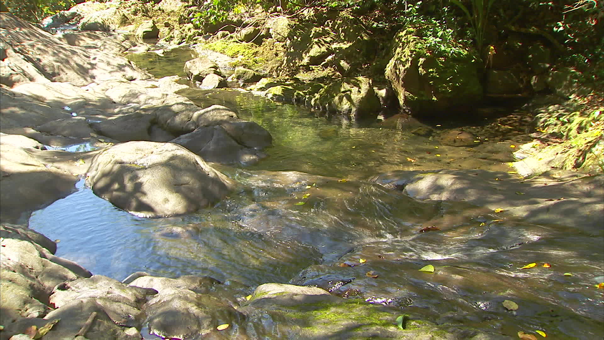 Guadeloupe - Coulisse river