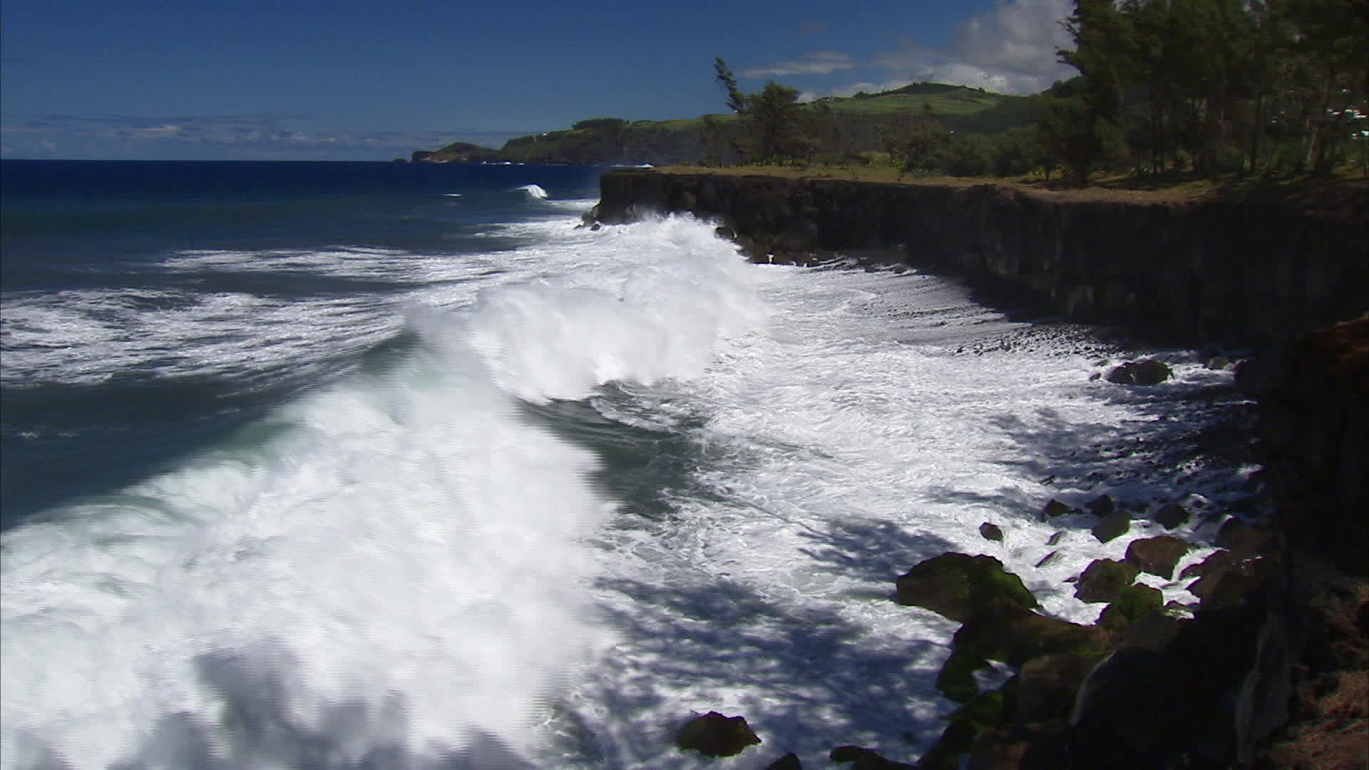 Ile de la Réunion - cayenne