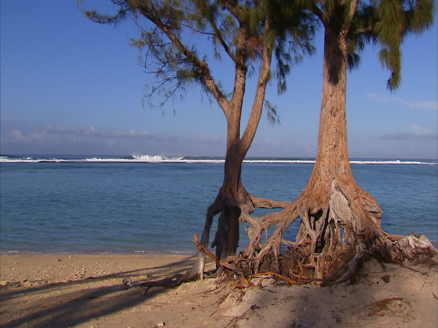 Reunion Island - Hermitage