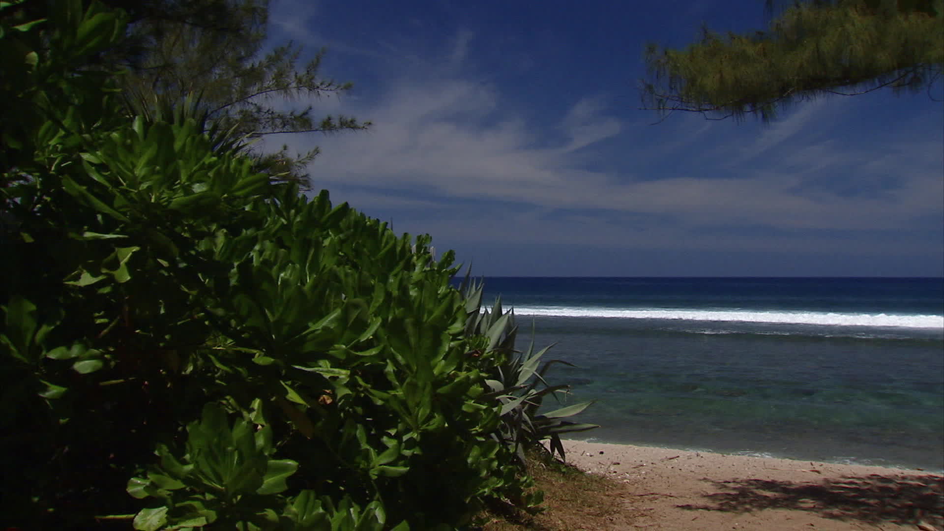 Reunion Island - Parrot beach