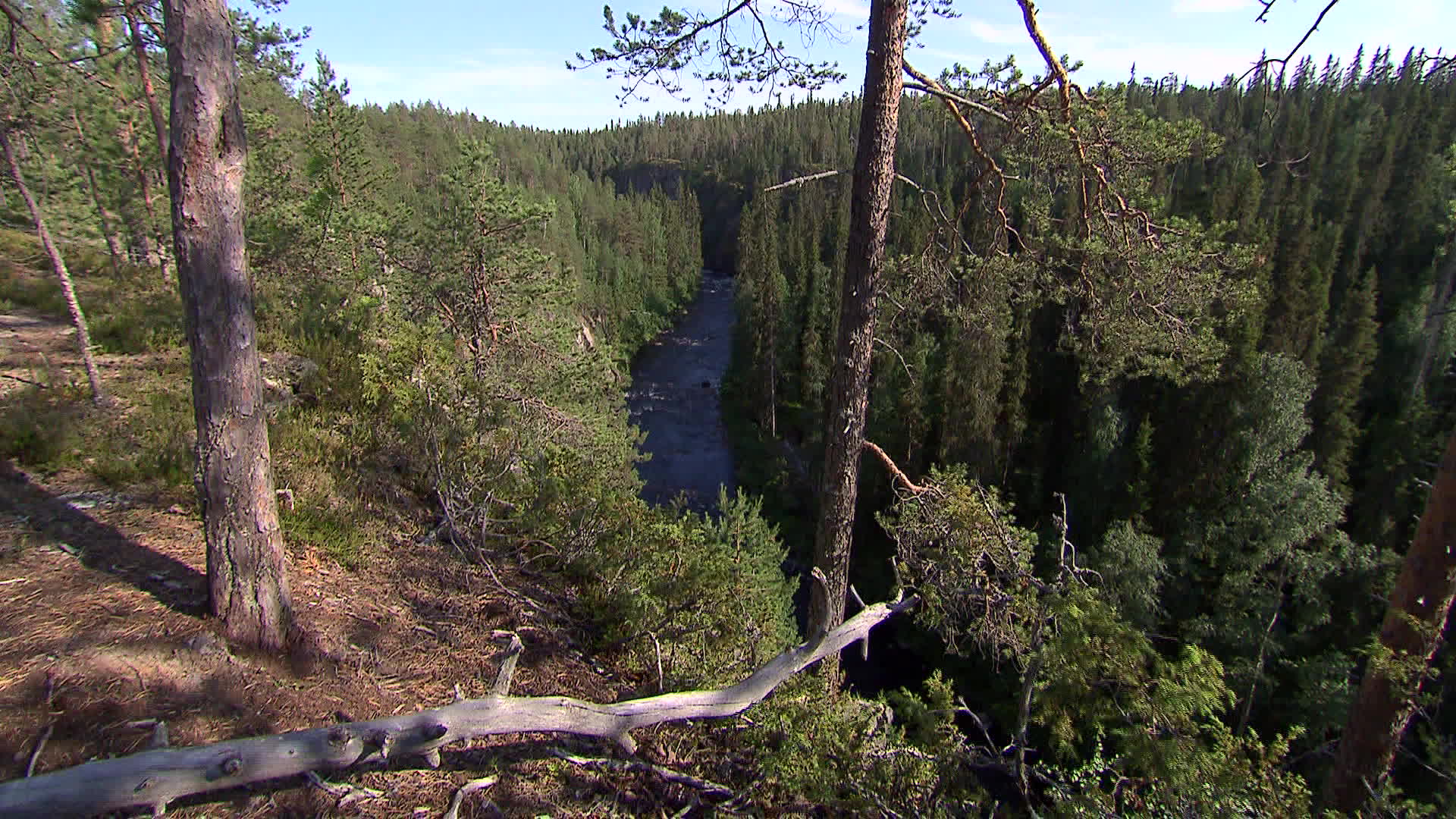 Kainuu - Oulangan kanjoni