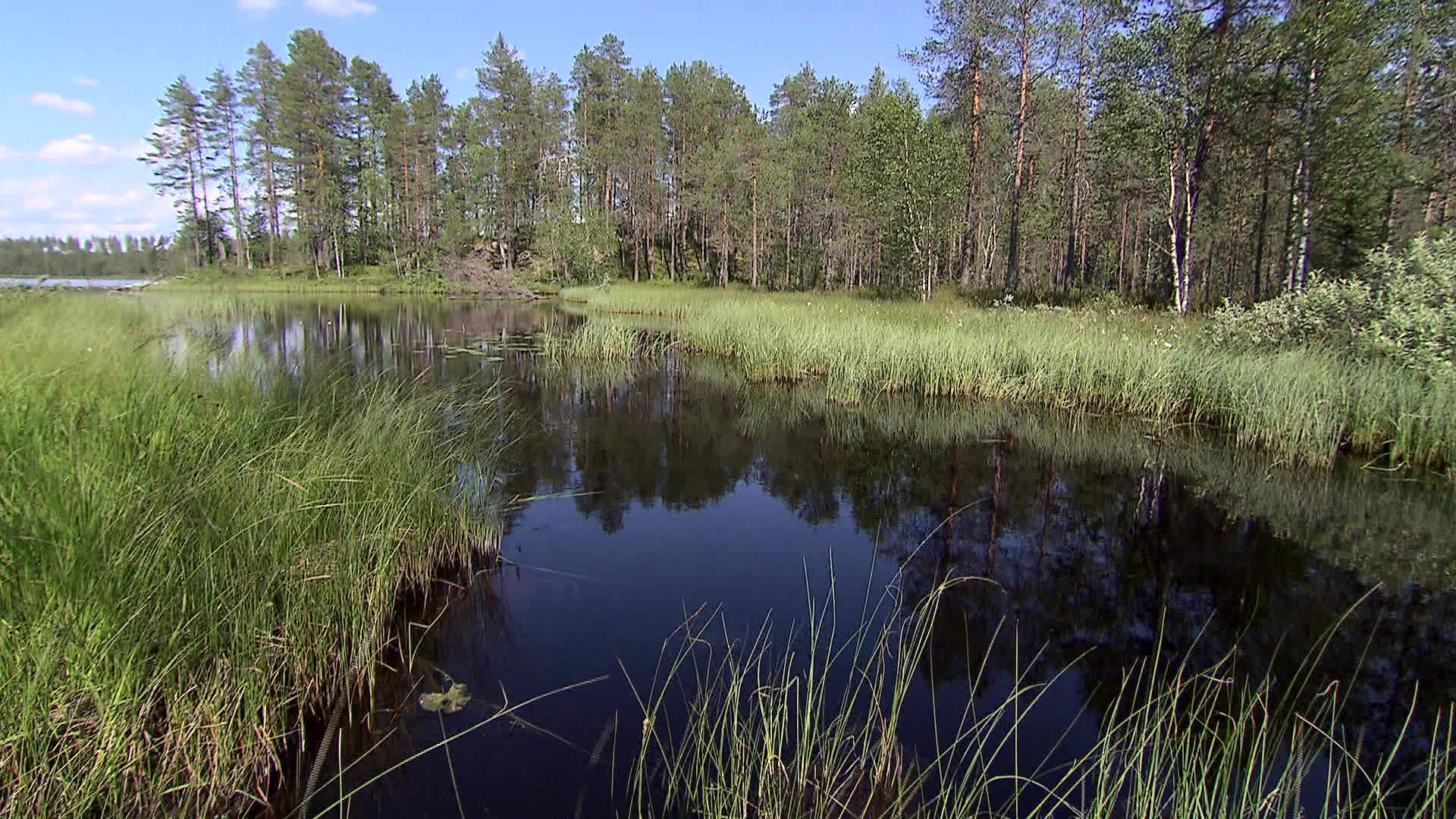 Kainuu - Vuosanganjärvi