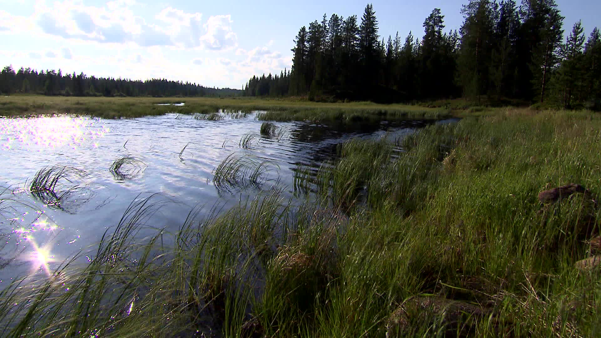 Lapland - Hannukainen