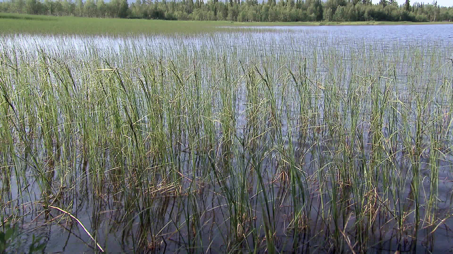Lapland - Ylläsjärvi