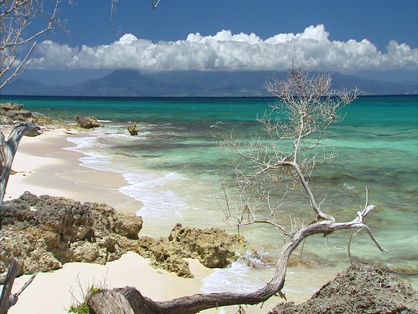 Marie-galante - Cemetary headland