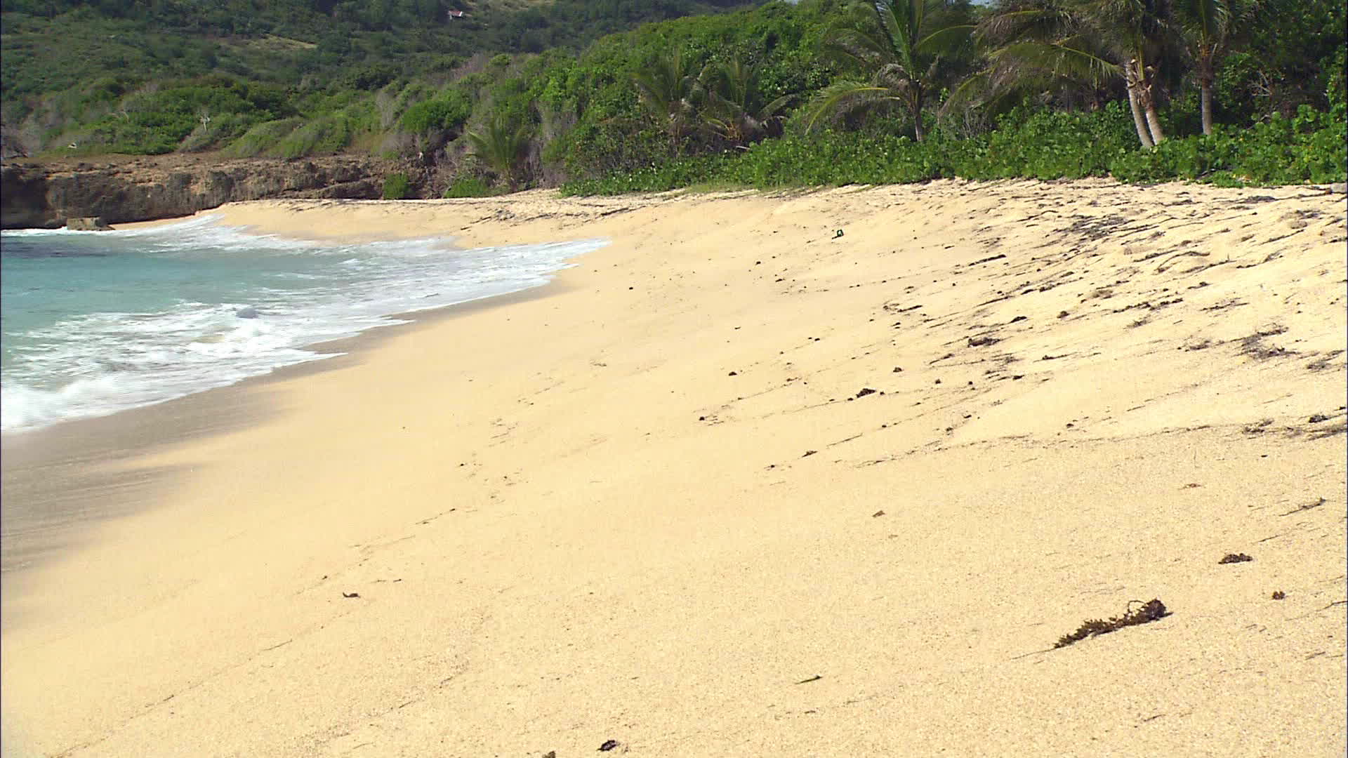 Martinique - Whale's Bay