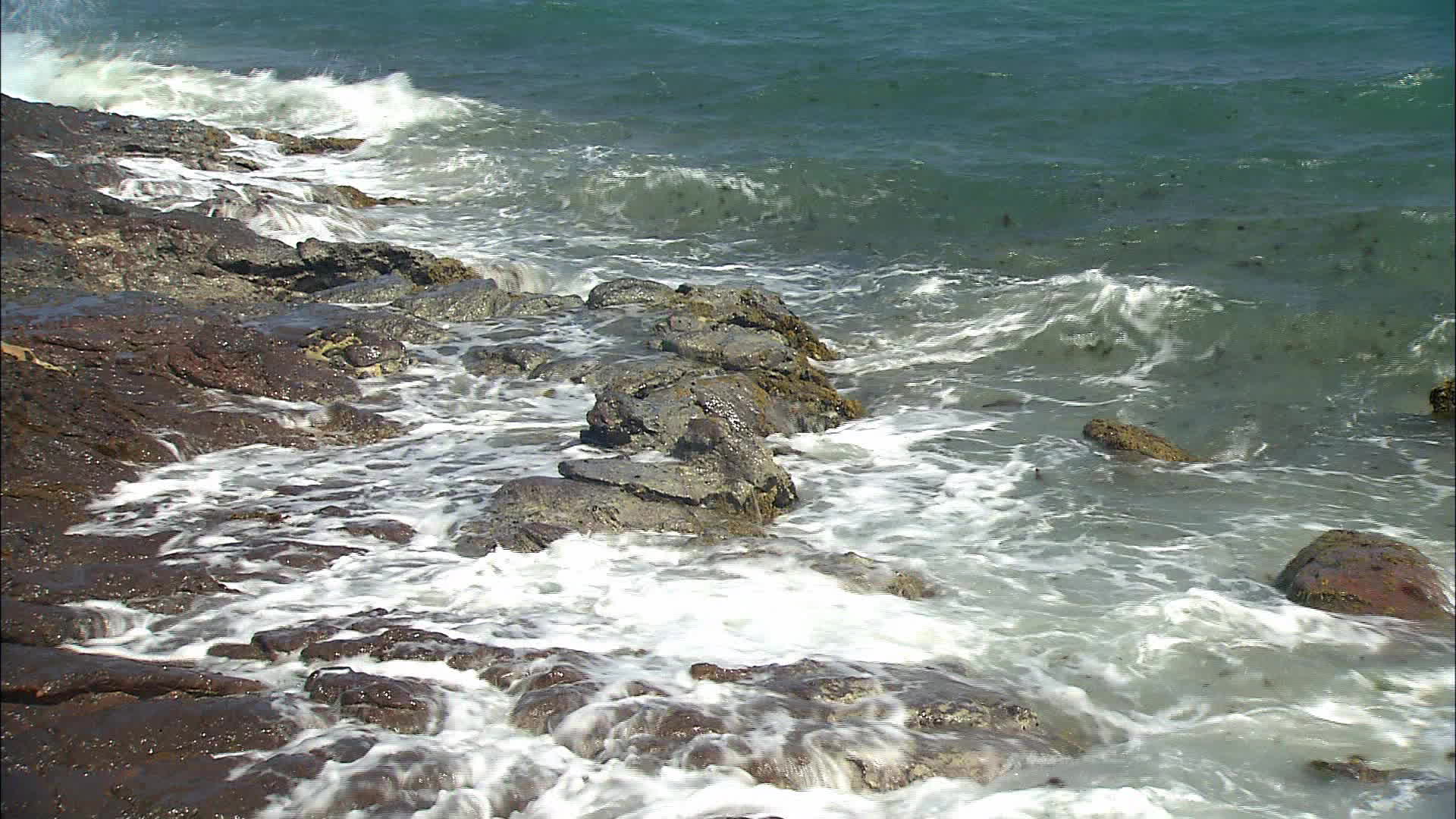 Martinique - Big rock bay
