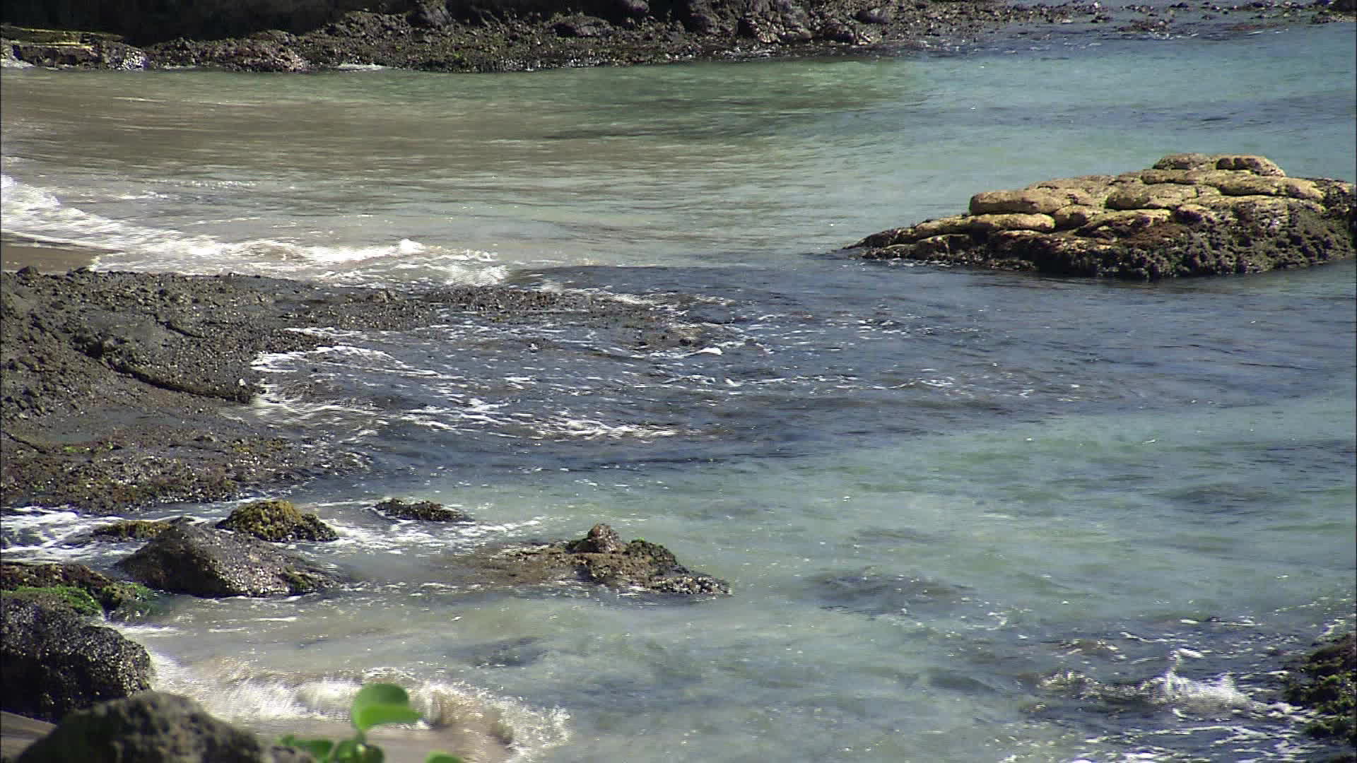Martinique - Marigot headland