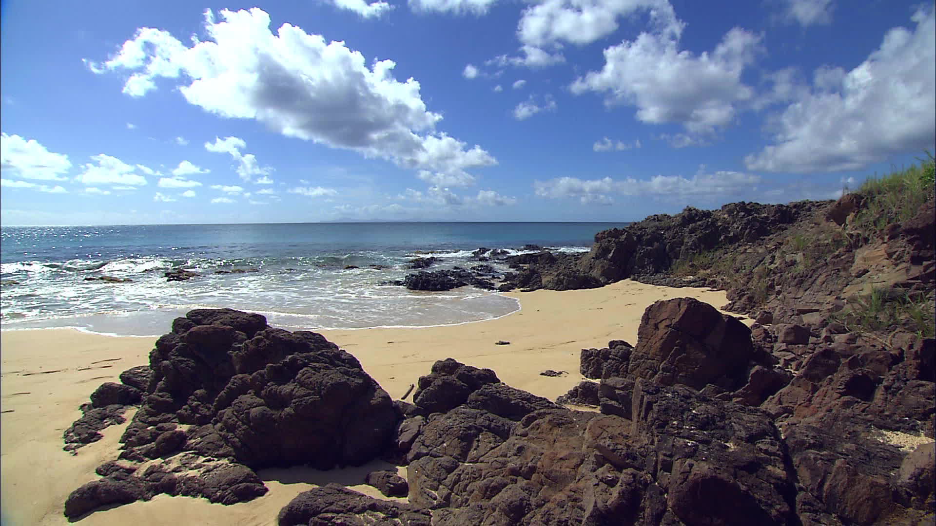 Martinique - Salines headland