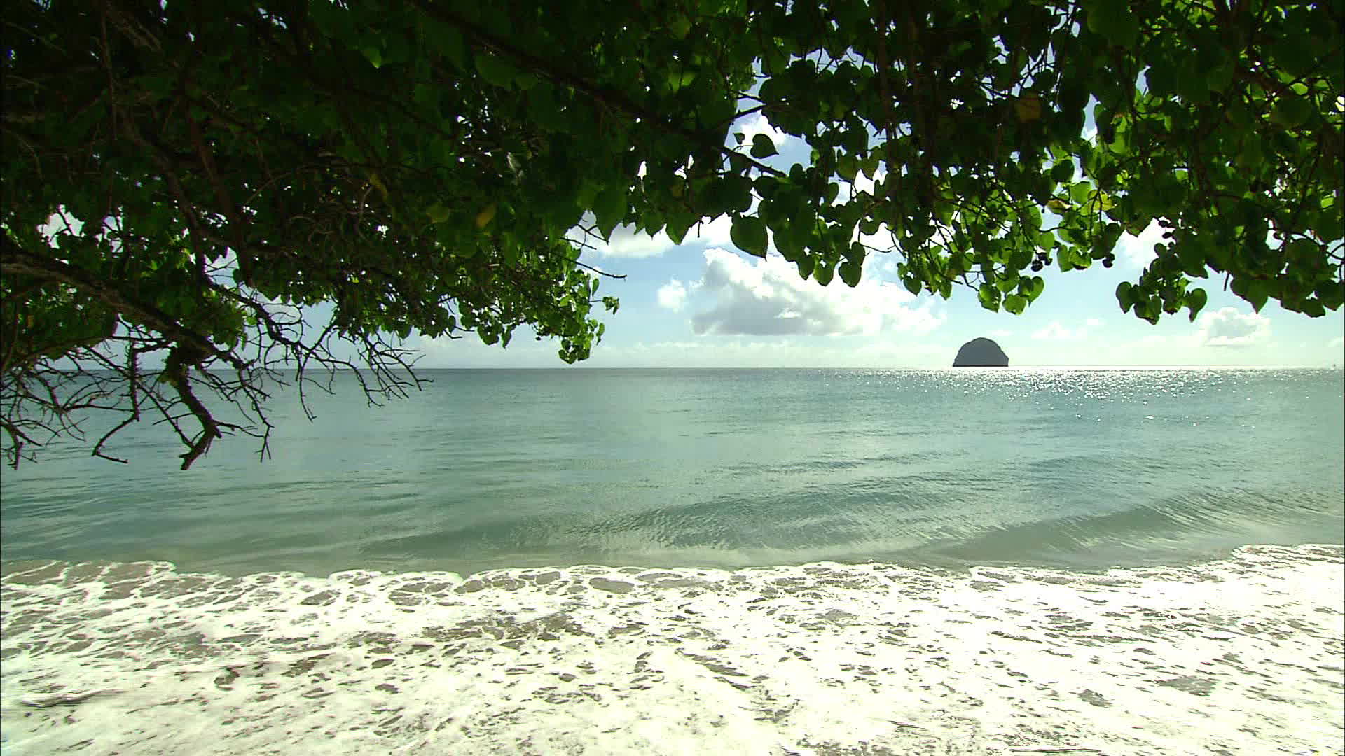 Martinique - plage Diamant