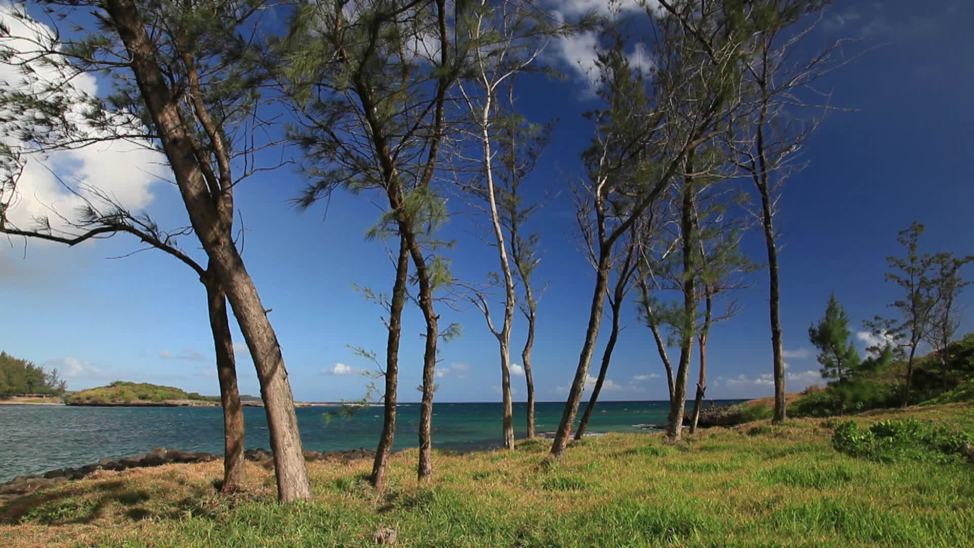 Mauritius - Bel ombre