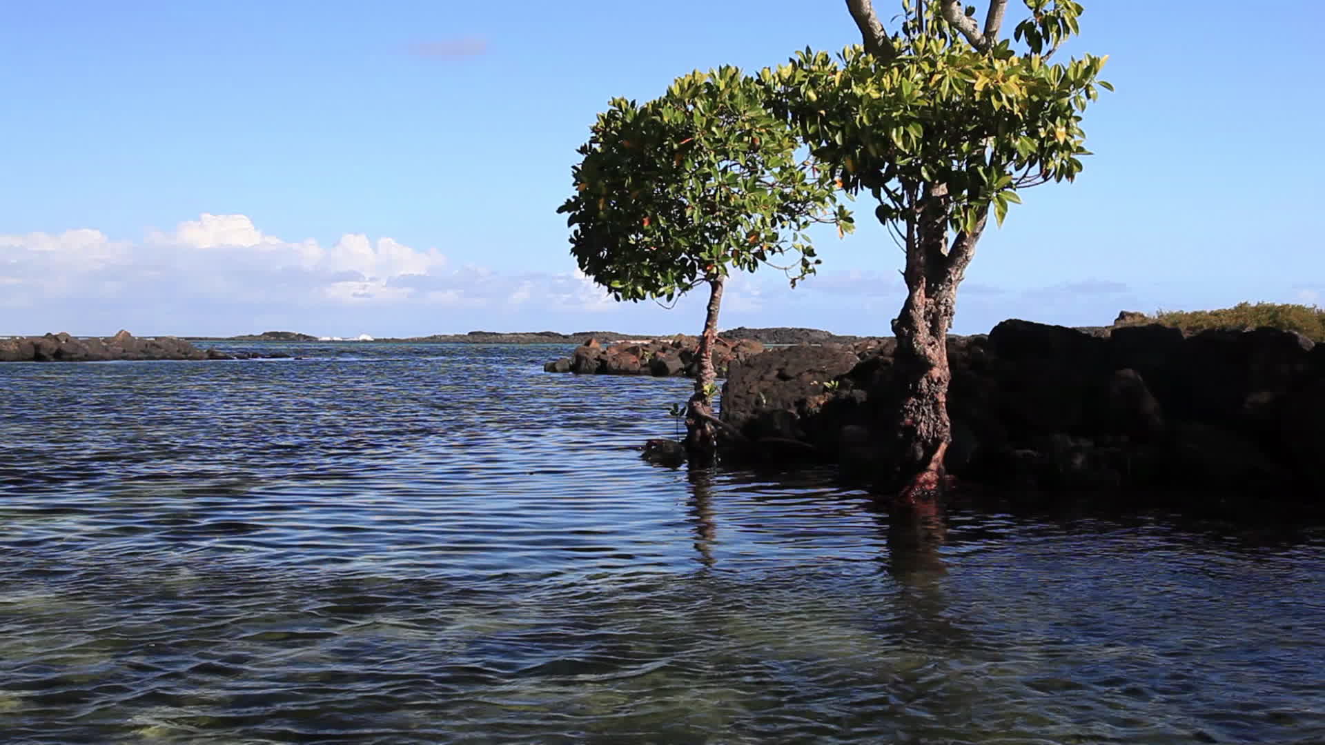 Mauritius - Bouchon