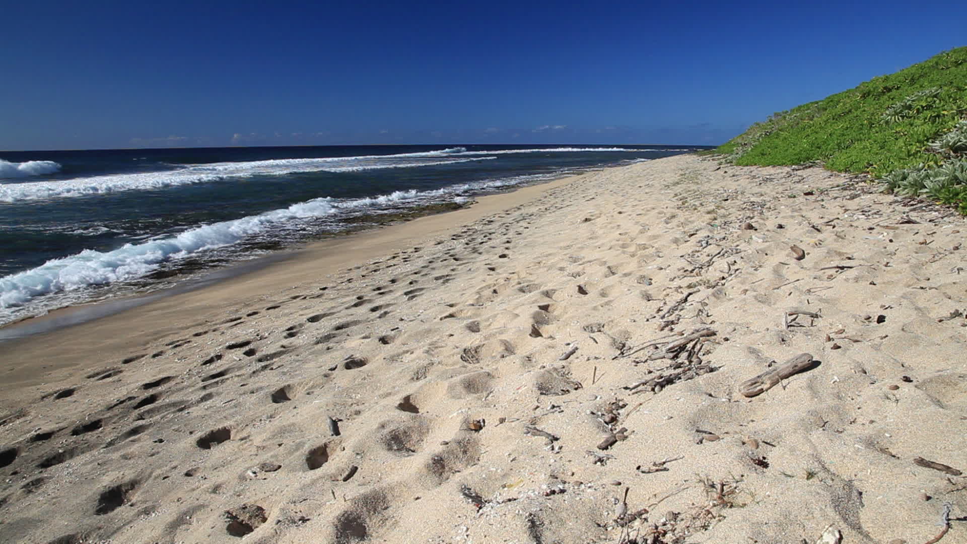 Mauritius - Savannah beach