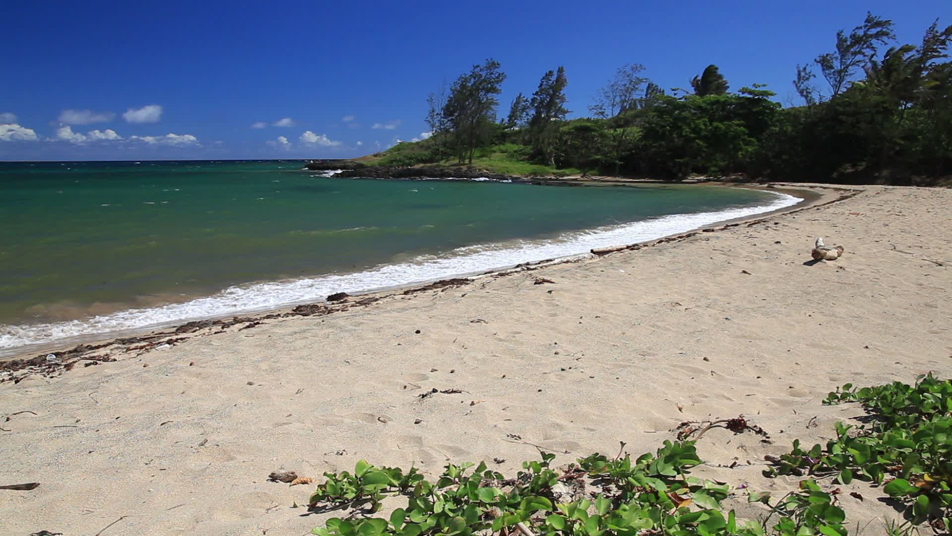 Mauritius - Sancho island
