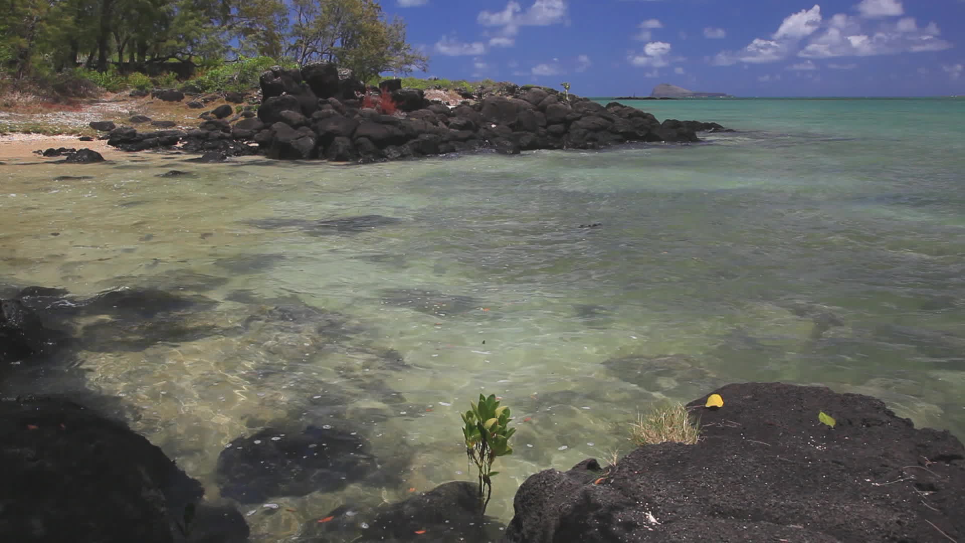 Mauritius - grand Gaube