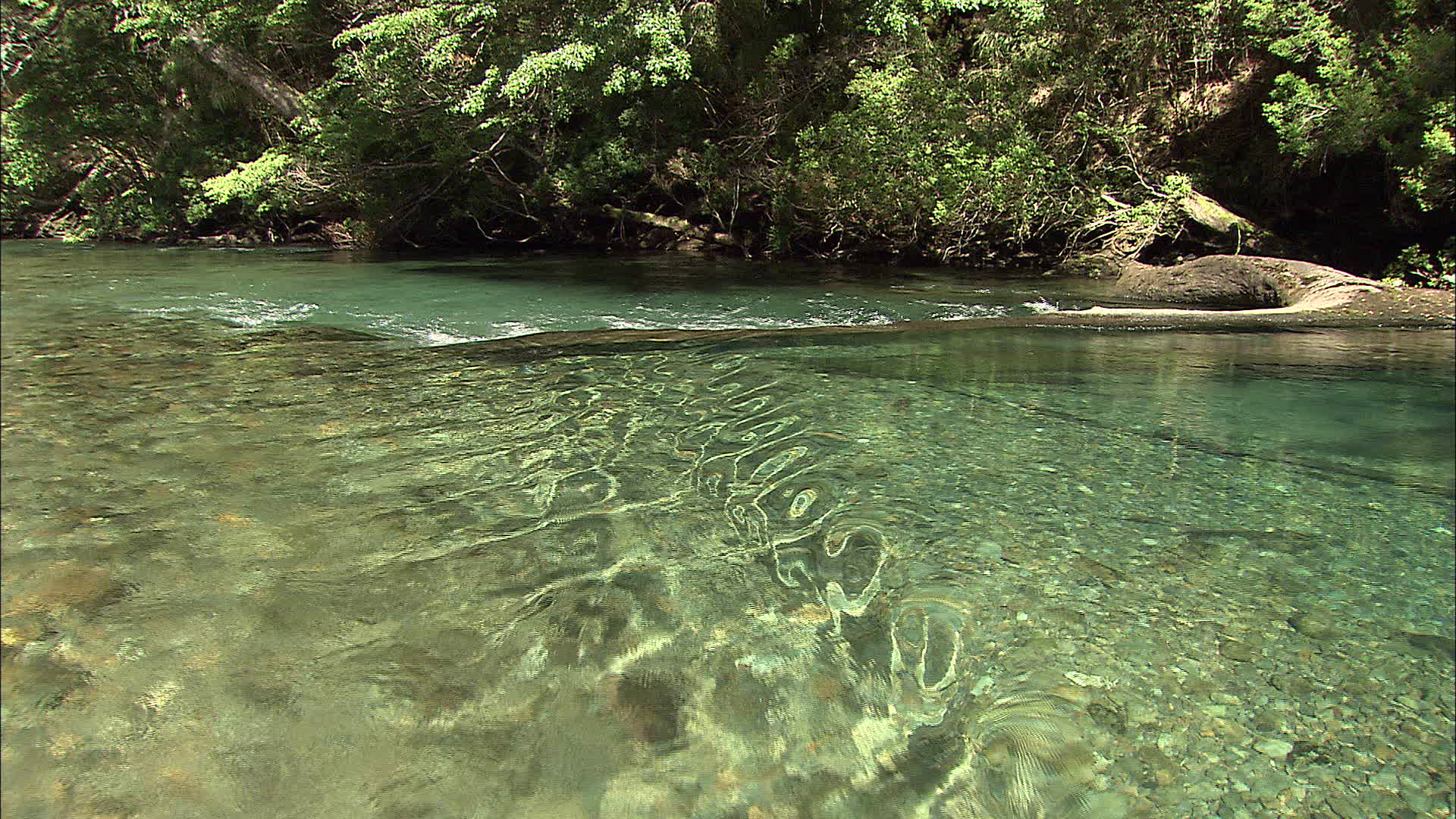 Misiones - Espejo river