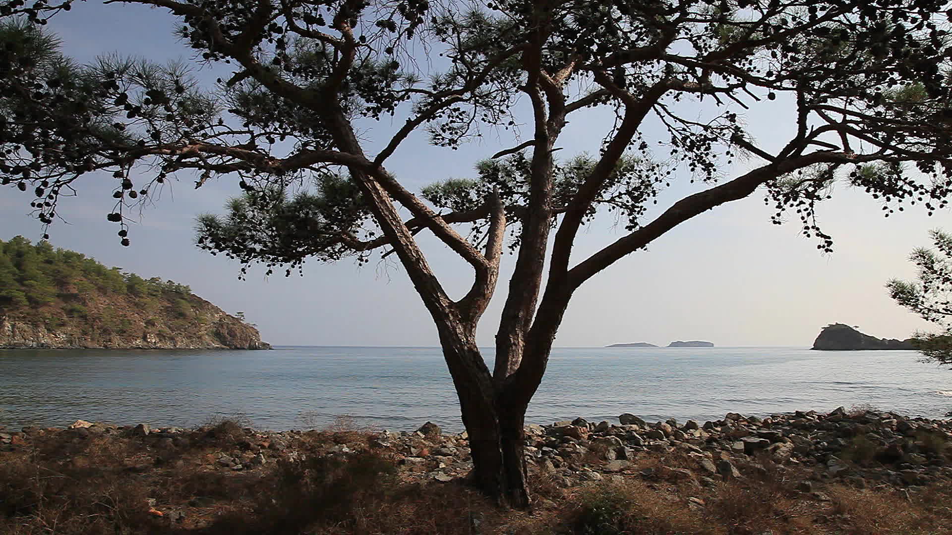 Mugla - Cleopatra creek