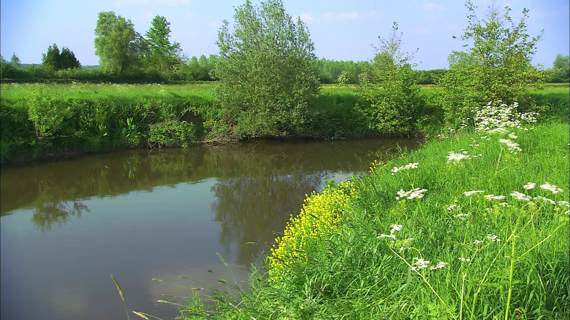 French North - Maroilles