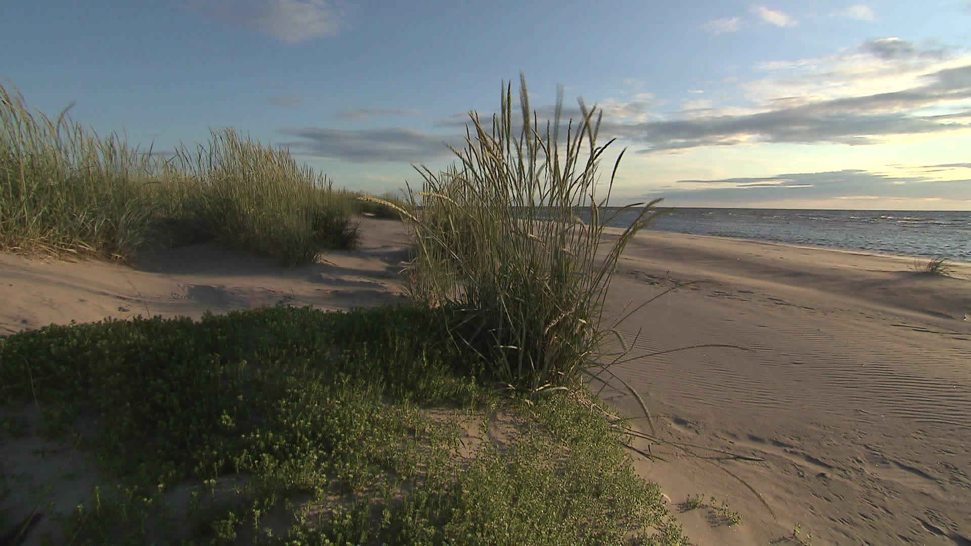 Northern Ostrobothnia - Karvo