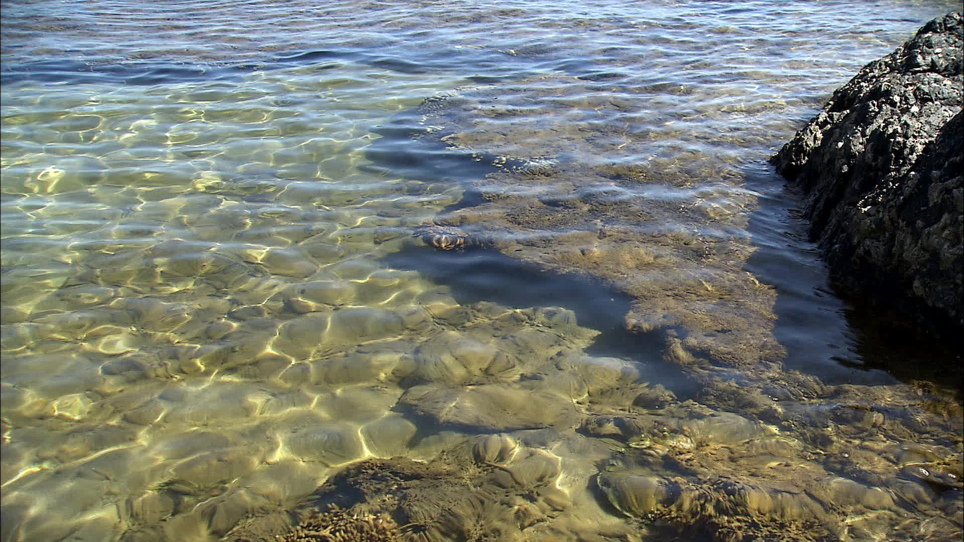 New Caledonia - Poindimie bay