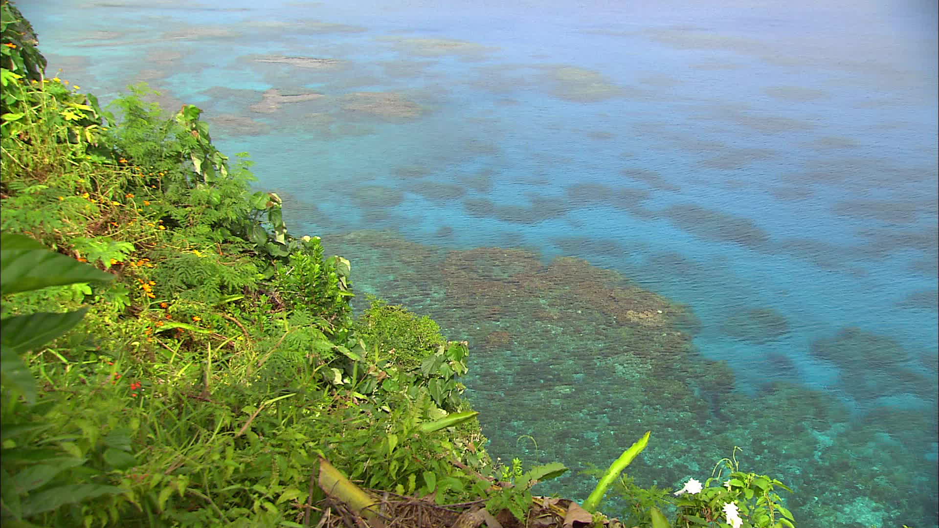 New Caledonia - Jokin cliffs