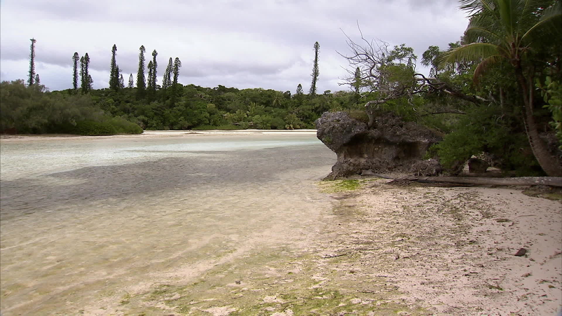 New caledonia - Pines island