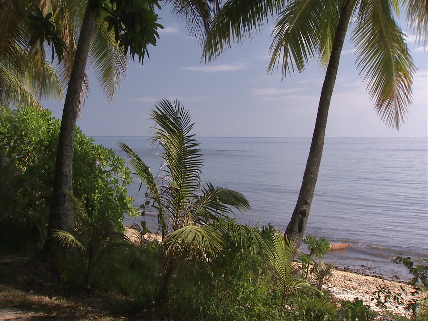 New caledonia - One Batch beach