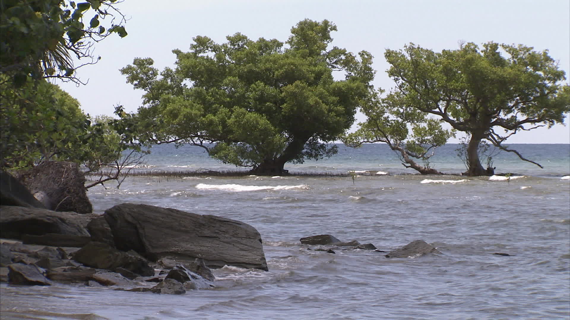 New caledonia - Pouebo mouth