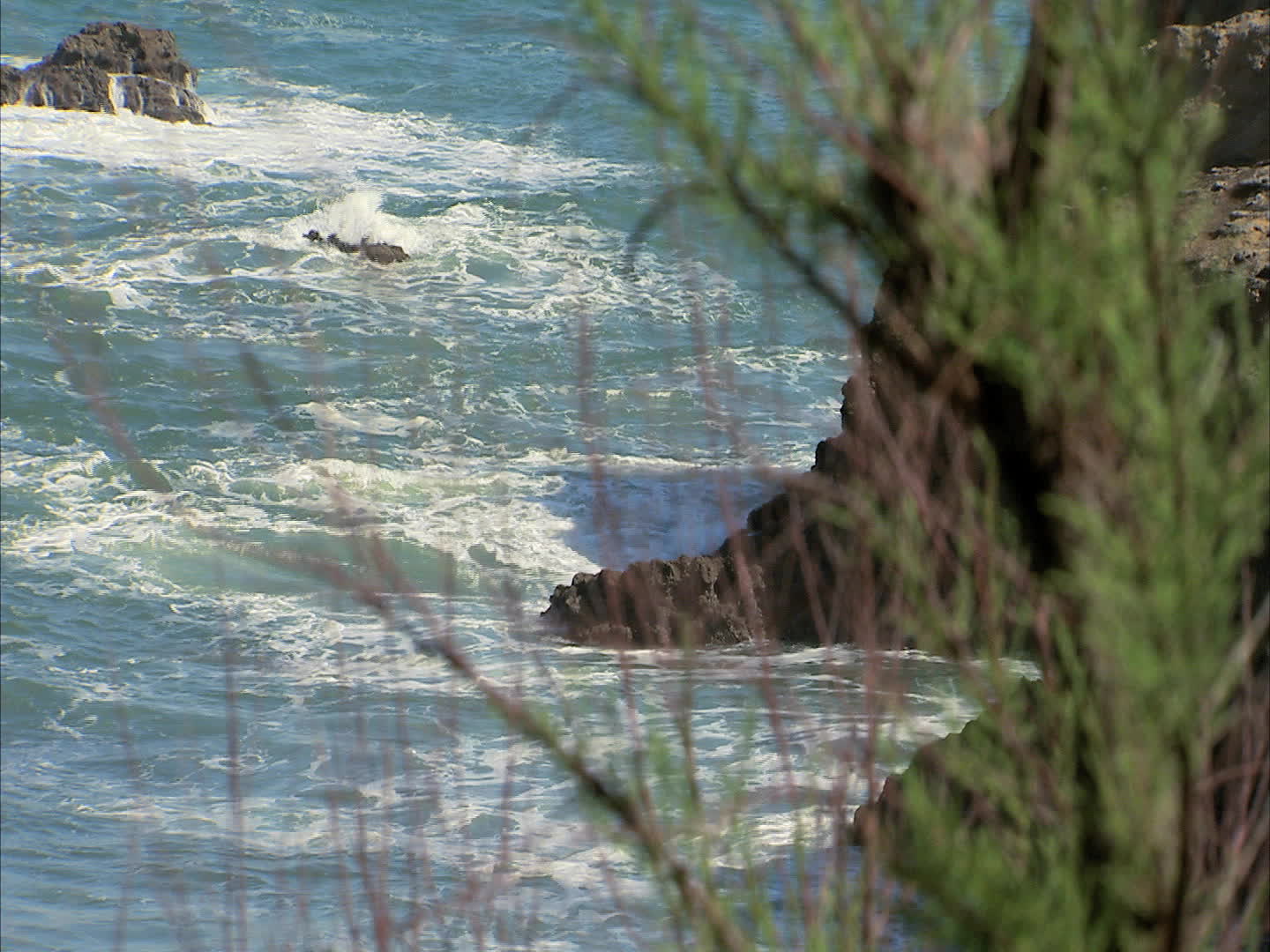 Basque Country - Biarritz