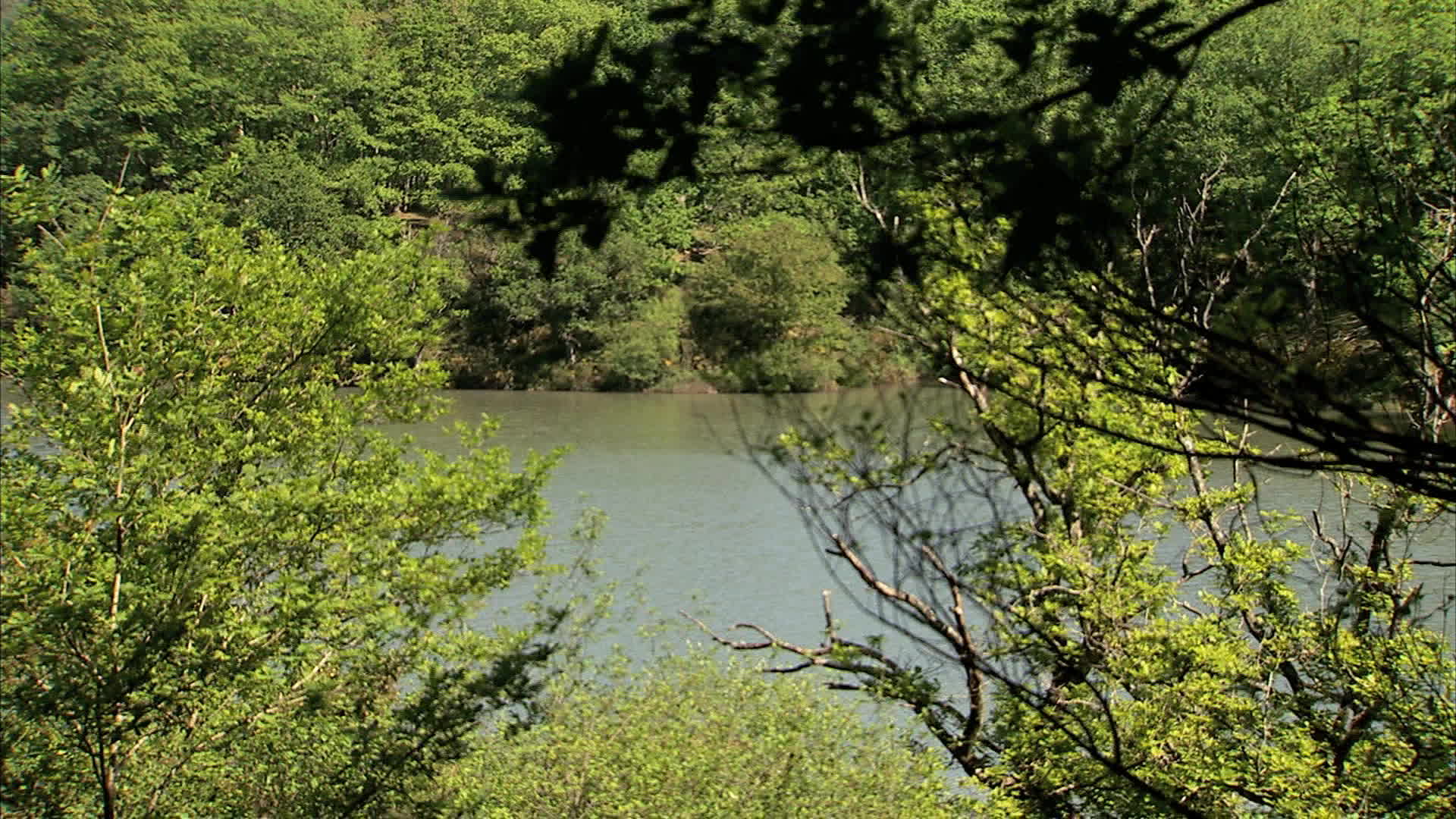 Basque country - Ibardin lake