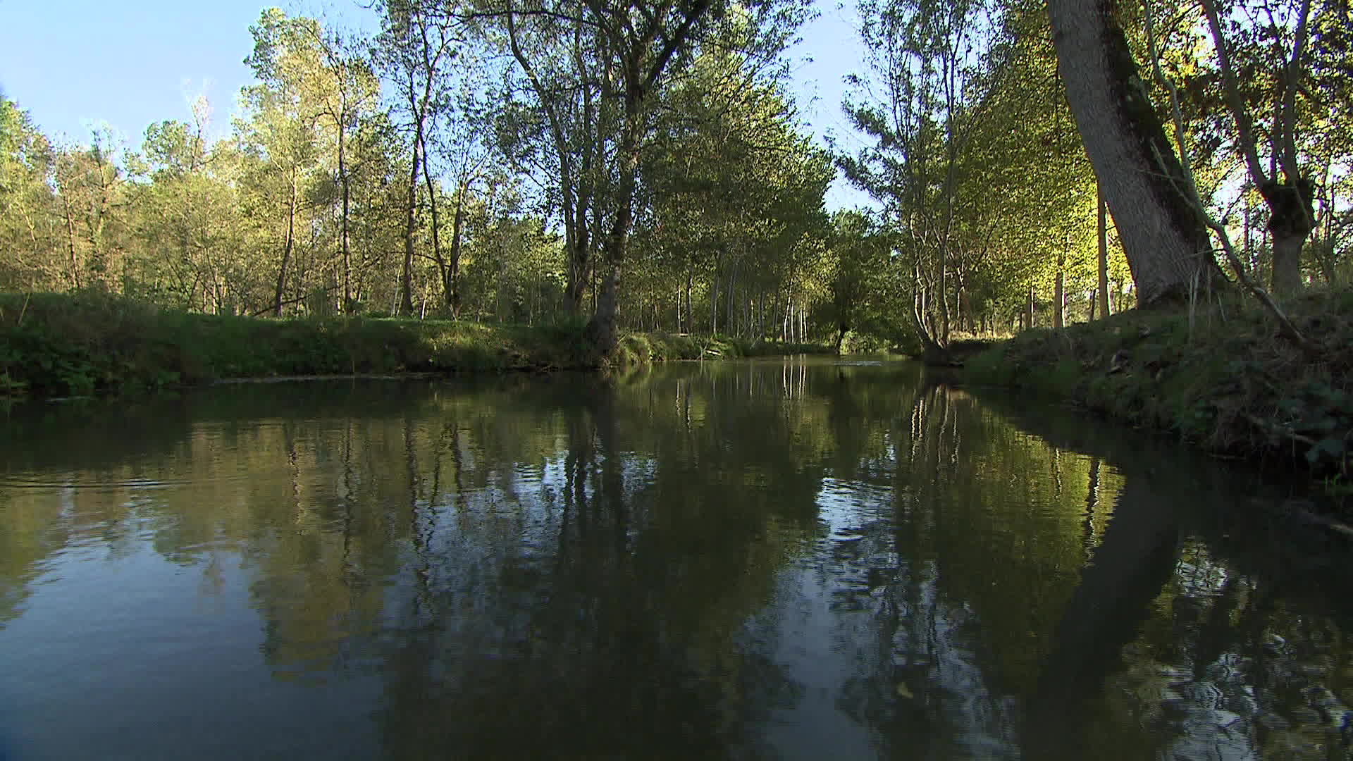 Pays de la Loire - Poitevin marsh
