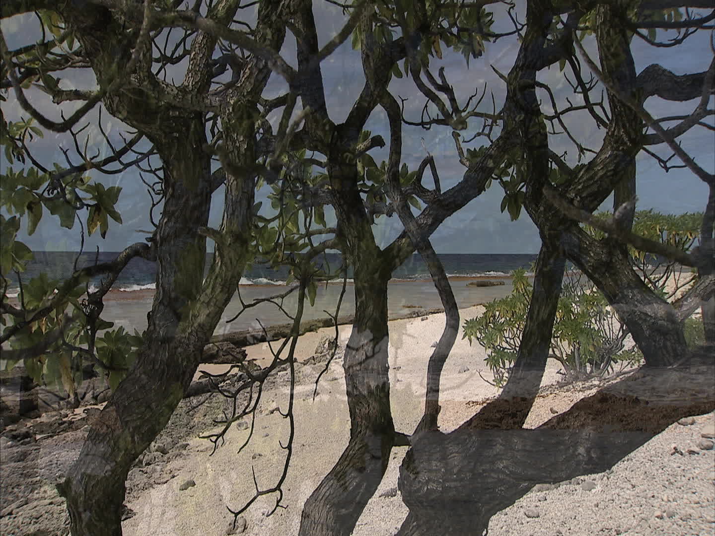 Polynesia - Fakarava